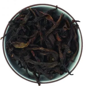 Feuilles de Feng Huang Dancong 鳳凰單叢