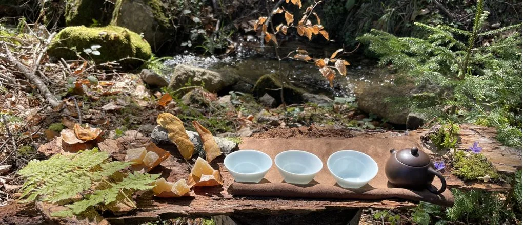 Scène de thé en forêt